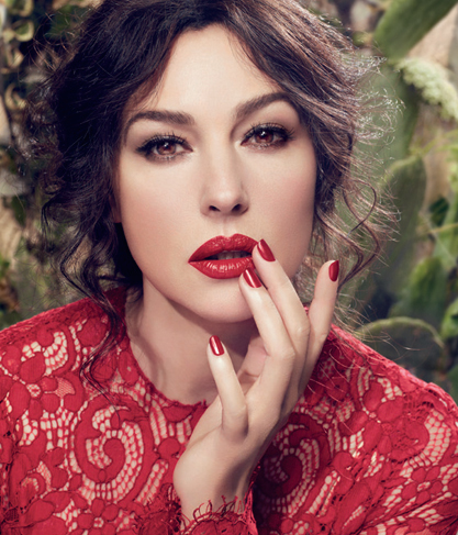 File:Imagem de referência.jpg