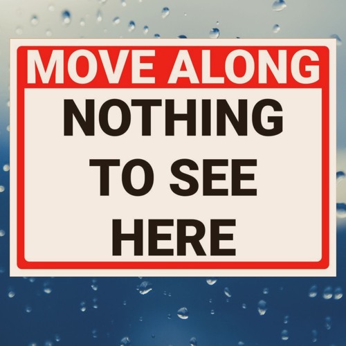 NothingToSeeHere.jpeg