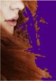 Thumbnail for version as of 19:50, 14 August 2022