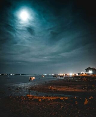 WhatsApp Image 2026-02-22 at 11.14.45.jpeg