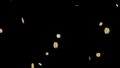 Thumbnail for version as of 03:13, 28 July 2021